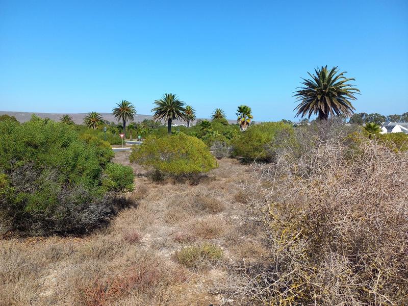 0 Bedroom Property for Sale in Shelley Point Western Cape